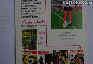 imagem_2