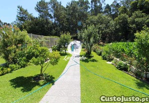 imagem_14