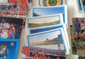 imagem_4