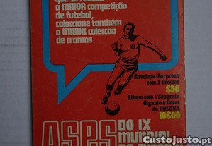 imagem_3