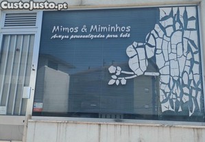 imagem_3