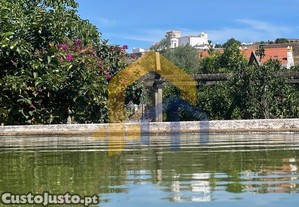 imagem_17