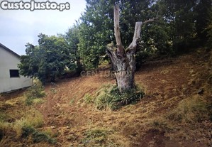 Terreno para construo em Samil - Bragana