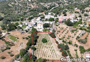 45.000  Terreno em Barranco de S. Miguel, Olhão