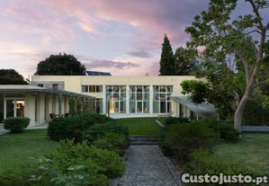 Moradia T6 Envolta Em 6.091M2 - Marco Canaveses