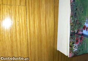 imagem_4