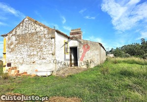 imagem_7
