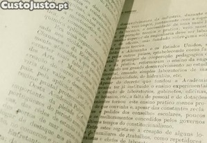 imagem_8