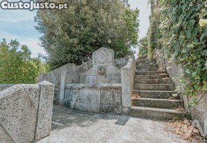 imagem_38