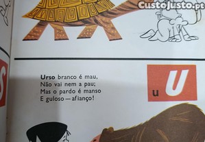 imagem_5