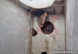imagem_9