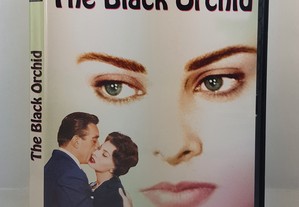 DVD The Black Orchid // Sophia Loren - Anthony Quinn 1958