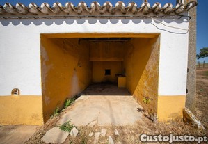 imagem_7