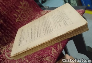 imagem_7