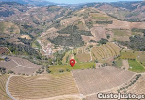 Terreno Com 9 121 M2 Situado Em S. Marta De...