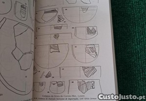 imagem_7