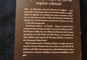imagem_2