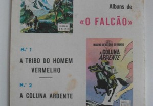 imagem_3