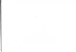 imagem_8