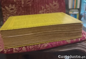 imagem_8