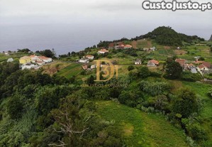 imagem_28
