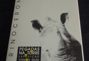 Postais O Rinoceronte Pegadas na Torre Bilhete Postal