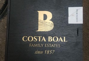 Conjunto vinhos Costa Boal