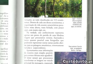 imagem_7