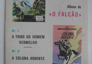 imagem_3