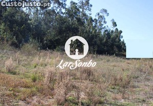 imagem_17