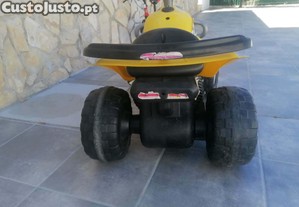 imagem_3