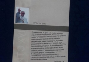 imagem_8