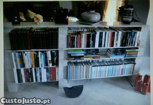 imagem_2