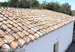 imagem_15