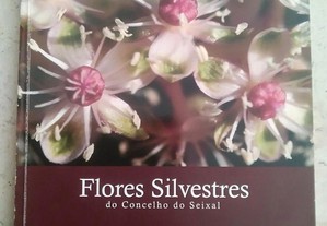 Flores Silvestres do Concelho do Seixal