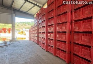 imagem_4