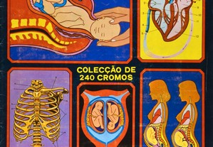 Caderneta Anatomia coleção didática de 240 cromos completa