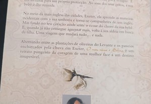imagem_6