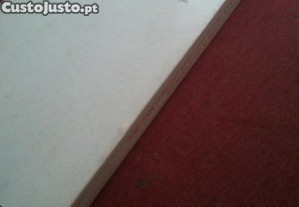 imagem_8