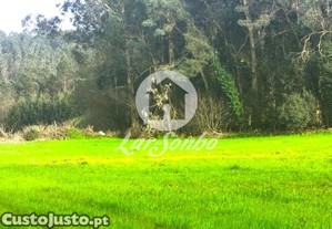 imagem_6