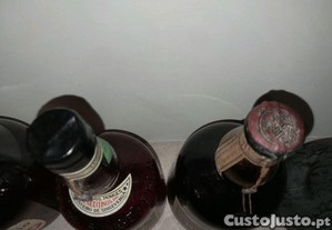 imagem_8