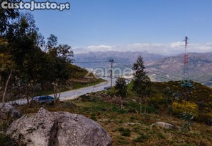 Terreno Versátil De 12.000M² Em Ruivães, Vieira...