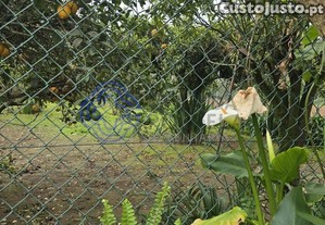 imagem_17