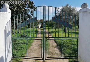 Quinta no Carapetal