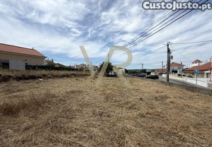 imagem_13