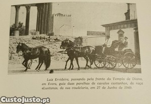imagem_11
