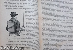 imagem_5