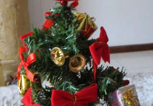 imagem_2