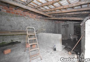 imagem_20