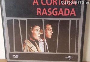 imagem_10